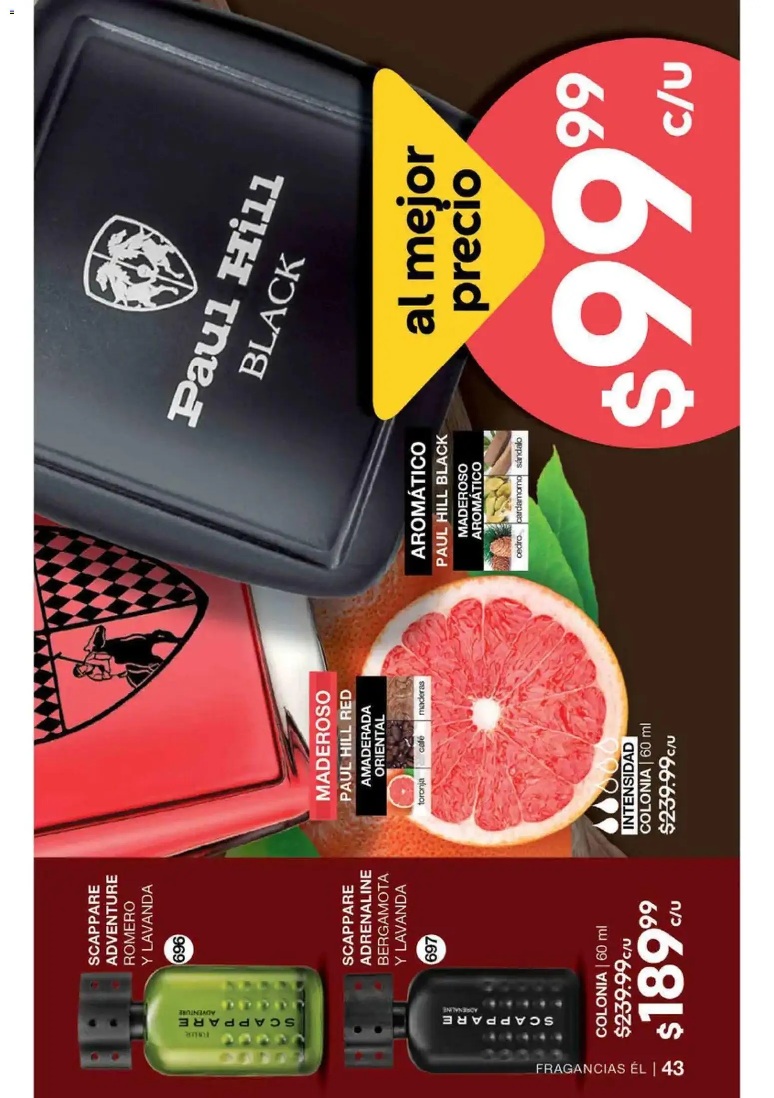 Nuevas ofertas de Fuller válidas en toda la República Mexicana desde el 19/08/2026. ¡Encuentra las mejores ofertas en Fuller campaña 10 2026! | Página: 43 | Productos: Toronja, Cardamomo