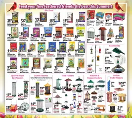 Preview of Ocean State Job Lot weekly ads valid from 07/16/2026 | Page: 23