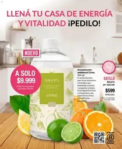 Vista previa Bagués - Catálogo válido desde el 01.06.2026 | Página: 100 | Productos: Fragancia