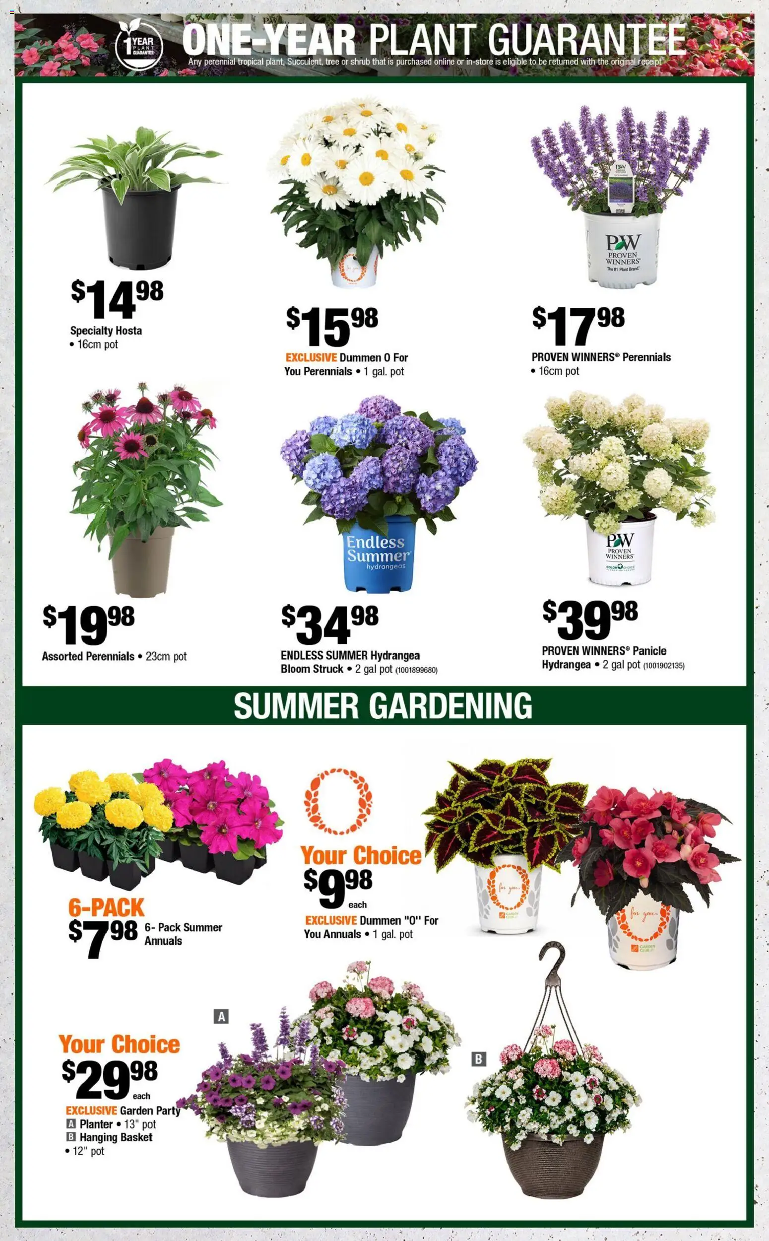 Home Depot flyer valid from Jun 25, 2026 | Page: 3