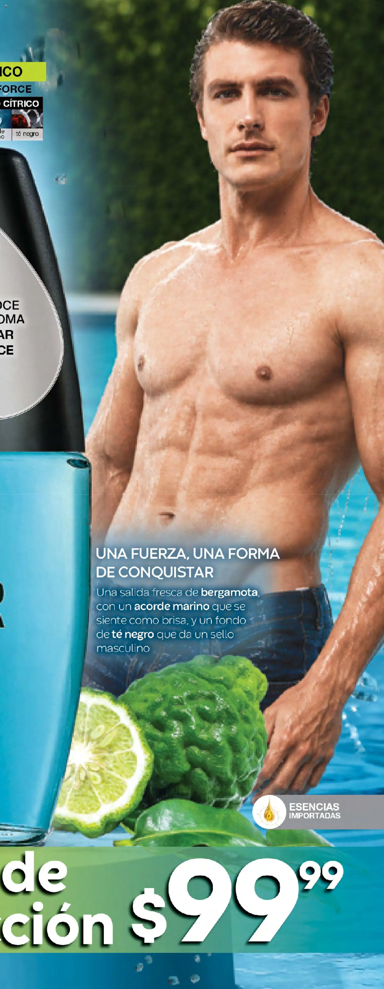 Nuevas ofertas de Fuller válidas en toda la República Mexicana desde el 05/08/2026. ¡Encuentra las mejores ofertas en Fuller campaña 9 2026! | Página: 25 | Productos: Esencias, Té, Té negro