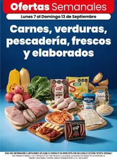 Vista previa Coto - Ofertas válido desde el 07/09/2026