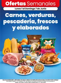 Vista previa Coto - Ofertas válido desde el 01.06.2026