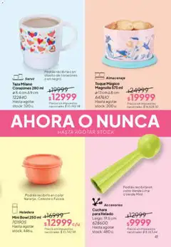 Vista previa Tupperware Folleto válido desde el 01/07/2026 | Página: 42