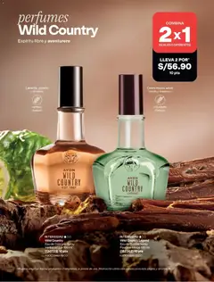 Vista previa de folleto Avon catálogo - Campaña 13 de la Avon válido desde 11/08/2026 | Página: 108