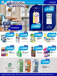 Vista previa Vital ofertas válido desde el 08.06.2026 | Página: 6