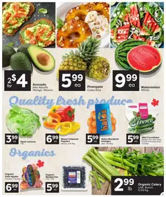 Preview of Quality Foods weekly flyer / circulaire from shop Quality Foods valid from Jul 30, 2026 | Page: 3