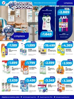 Vista previa Vital - Ofertas válido desde el 15.06.2026 | Página: 7 | Productos: Botella, Desodorante, Detergente, Canasta