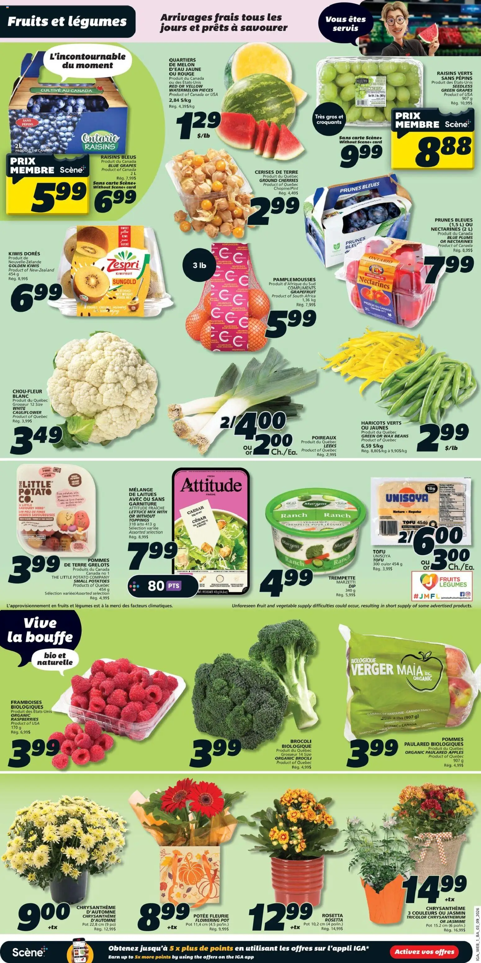 IGA flyer valid from Sep 3, 2026 | Page: 6 | Products: Salad, Potatoes, Prunes, Apples