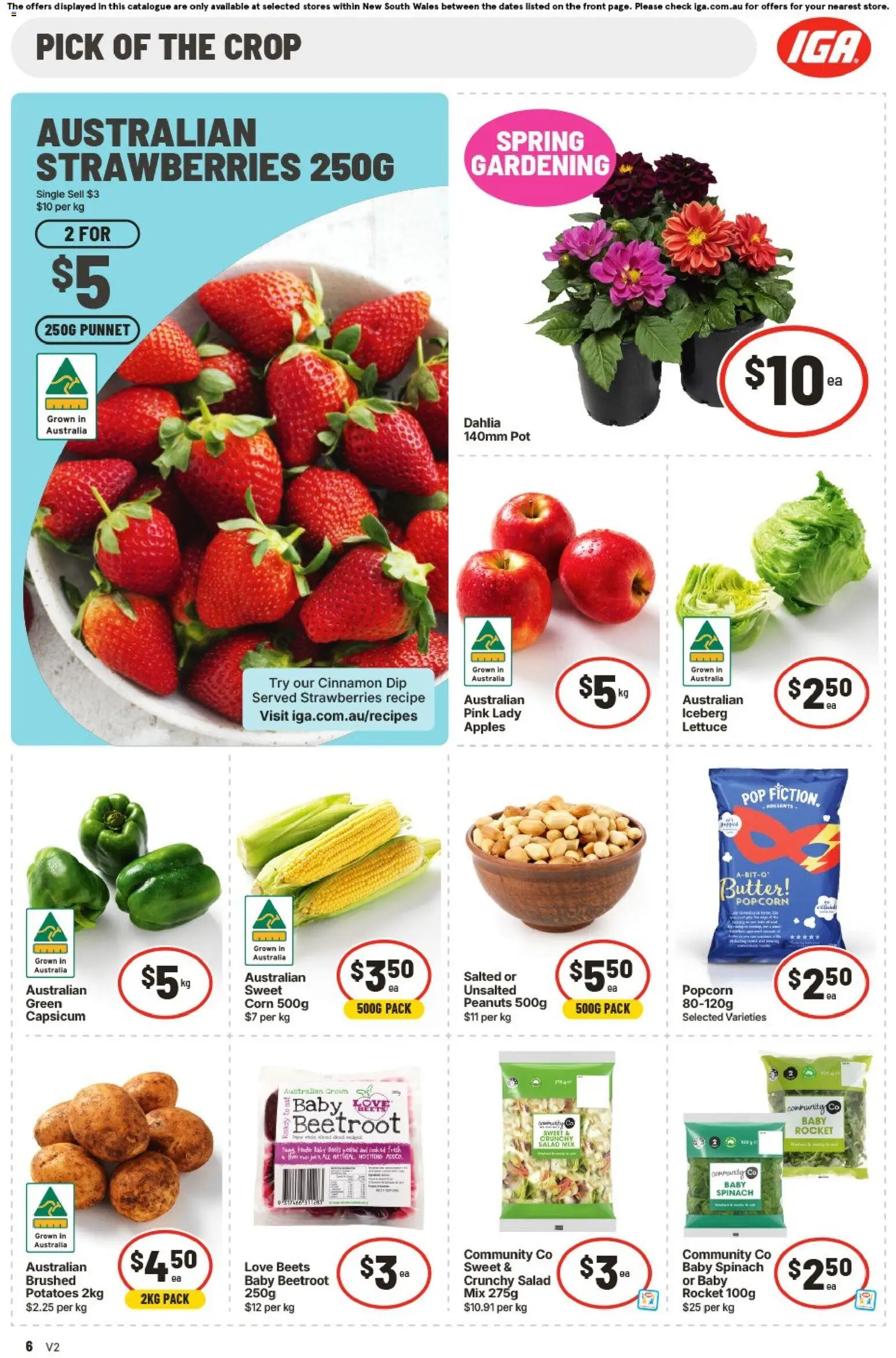 IGA catalogue - valid from 09/09/2026 | Page: 7
