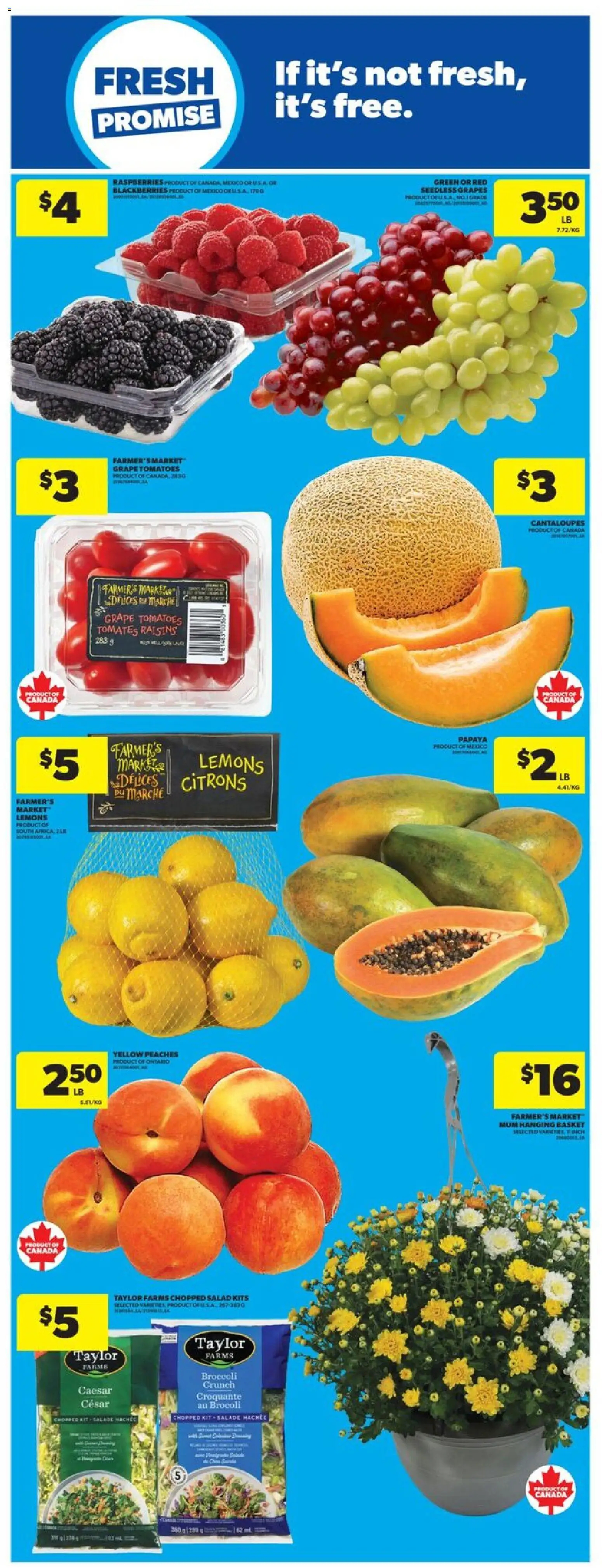 Real Canadian Superstore flyer valid from Sep 10, 2026 | Page: 9