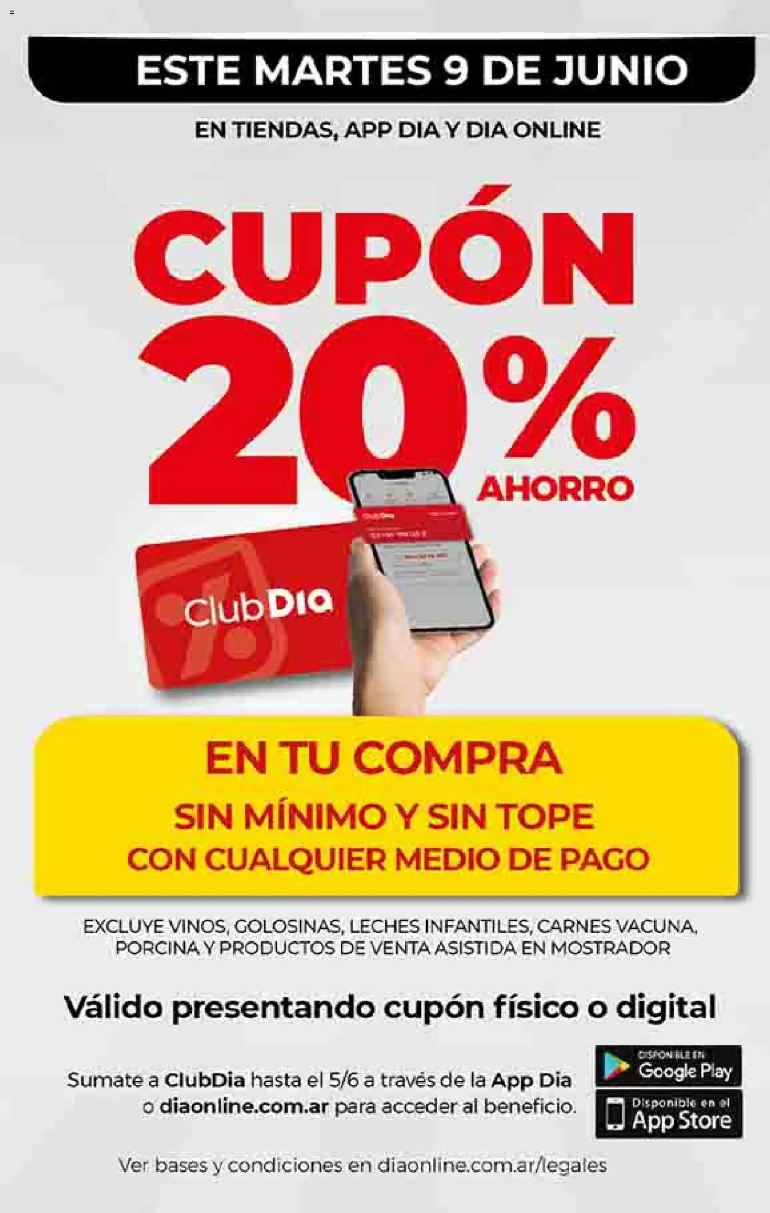 Dia - Ofertas Salta y Jujuy │ válido desde el 03.06.2026 | Página: 22