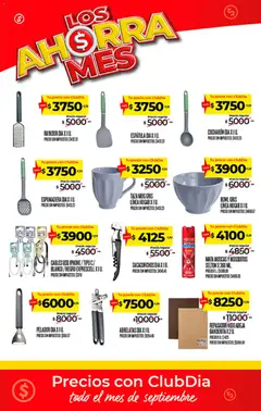 Vista previa ESPUMADERA DIA X 1 U., ESPUMADERA DIA X 1 U. válido desde el 10/09/2026 | Página: 19