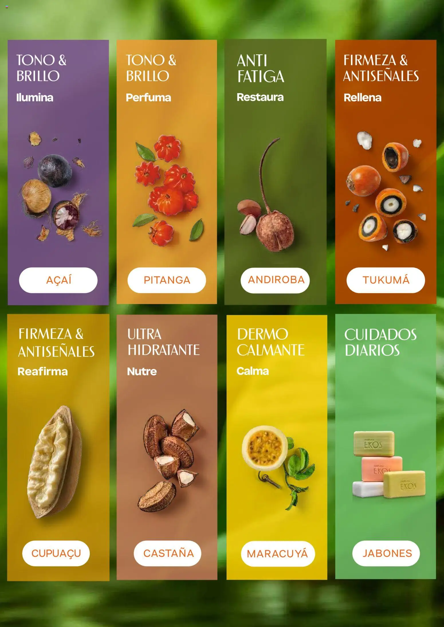Natura revista - valida desde el 01/07/2026 | Página: 14 | Productos: Brillo, Maracuyá