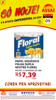Assaí Atacadista ofertas - DF - Pré-Visualização do folheto da loja Assaí Atacadista, válido de 09.06.2026