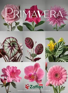 Zaffari ofertas Primavera - SP - Pré-Visualização do folheto da loja Zaffari, válido de 15/09/2026