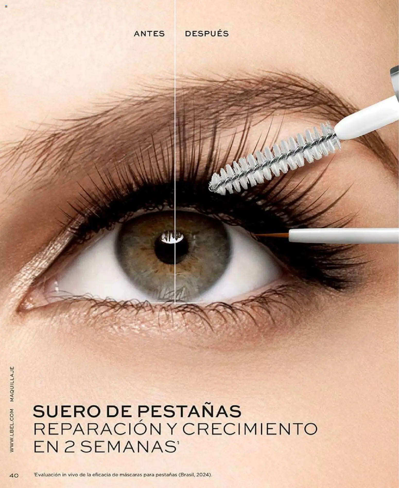Catálogo L'Bel válido desde 22/08/2026 | Página: 40 | Productos: Maquillaje