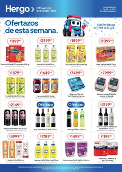 Vista previa Hergo catálogo válido desde el 17.06.2026