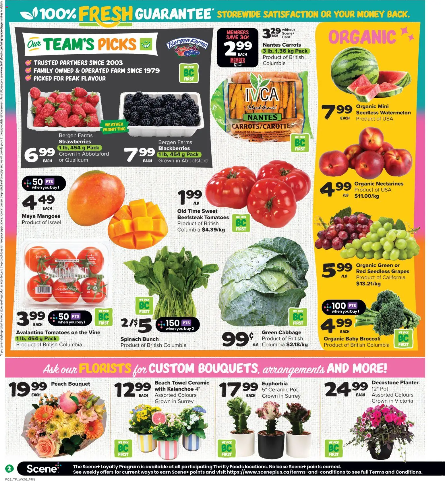 Thrifty Foods flyer valid from Aug 13, 2026 | Page: 3 | Products: Carrots, Watermelon, Seedless watermelon, Grapes