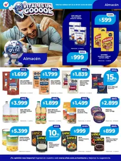 Vista previa Vital - Ofertas válido desde el 22/06/2026 | Página: 14 | Productos: Mayonesa, Ketchup, Sal, Estuche
