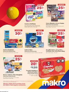 Makro catálogo -  Vista previa de la revista de la tienda Makro valido desde el 12.06.2026 | Página: 10