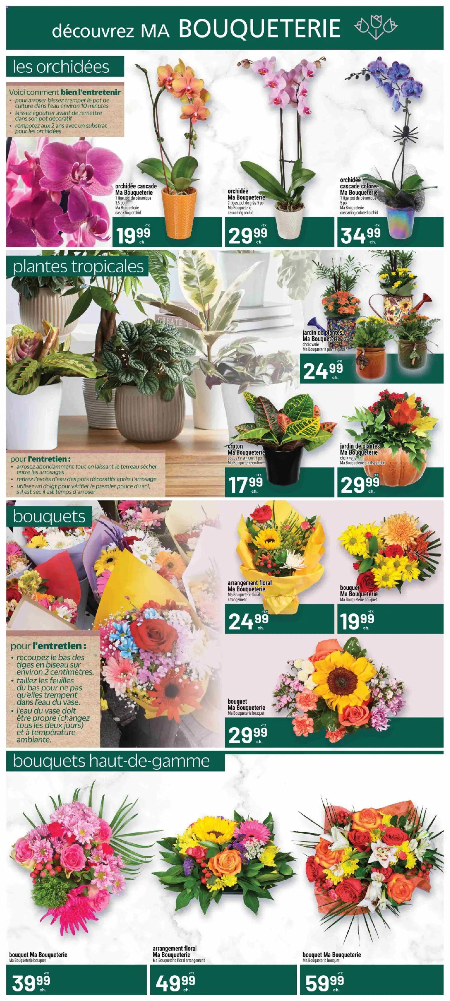 Metro flyer valid from Oct 1, 2026 | Page: 9 | Products: PC, Pots, Orchid, Vase