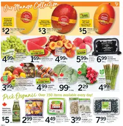 Preview of Fortinos weekly flyer / circulaire from shop Fortinos valid from 21.05.2026 | Page: 3