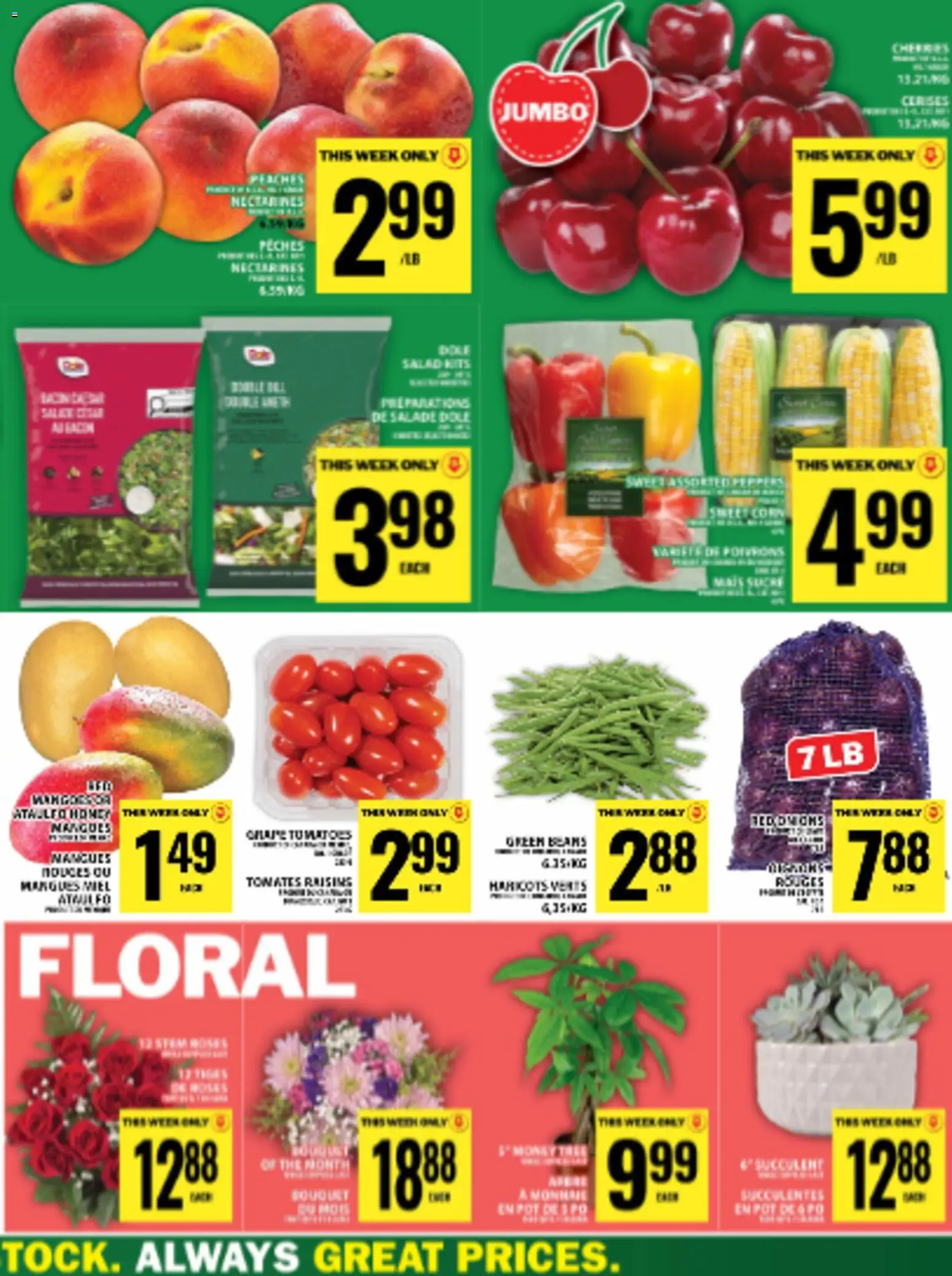 Food Basics flyer valid from 11.06.2026 | Page: 37 | Products: Salad, Tomatoes