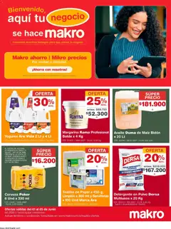Makro catálogo -  Vista previa de la revista de la tienda Makro valido desde el 01.06.2026