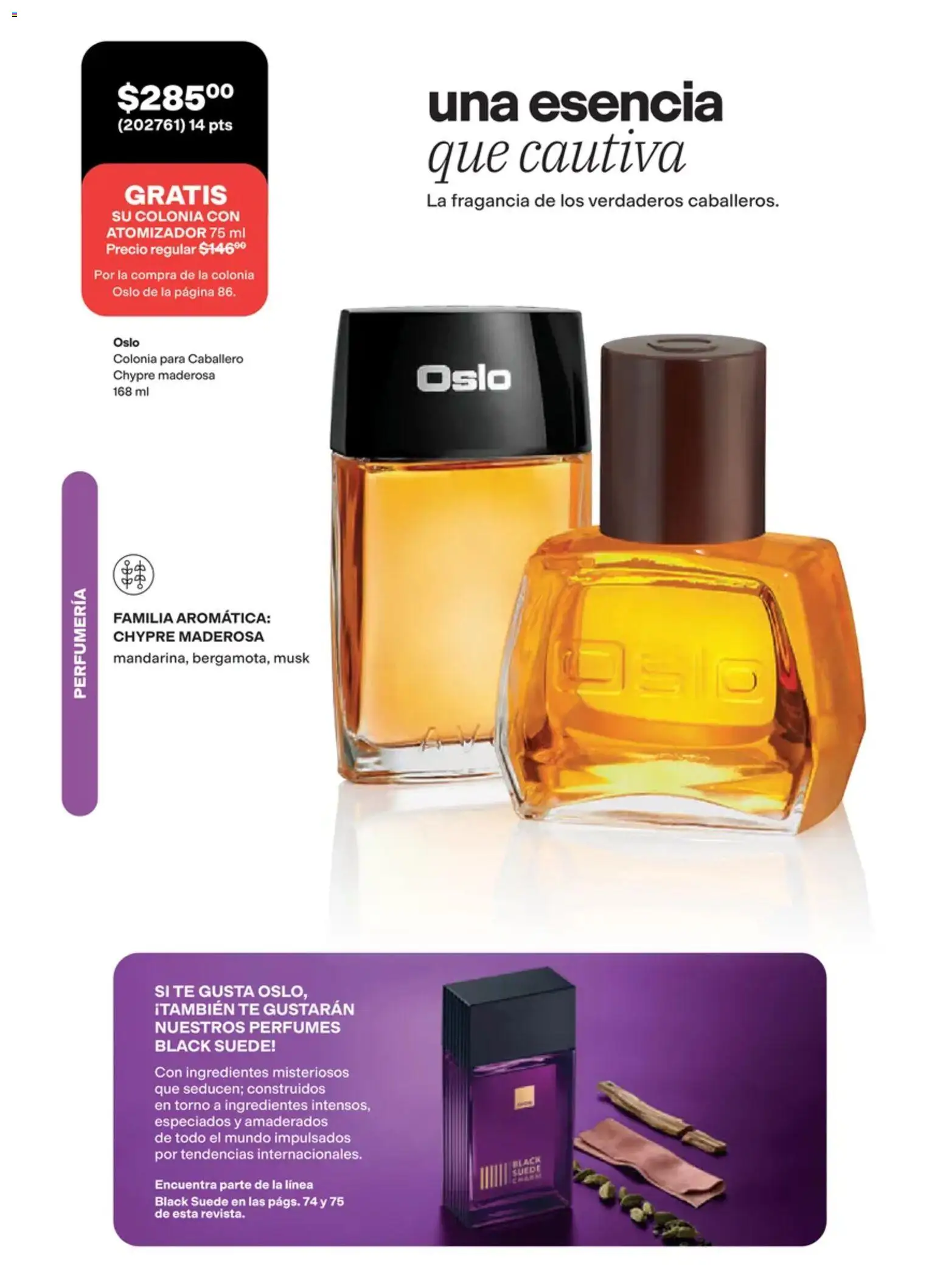 Nuevas ofertas de AVON válidas en toda la República Mexicana desde el 02/10/2026. ¡Encuentra las mejores ofertas en AVON campaña 15 2026! | Página: 86 | Productos: Perfumes, Torno, Ingredientes, Té
