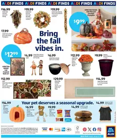 Preview of Aldi weekly ads valid from 08/19/2026 | Page: 2 | Products: Bed, Pet Bed, Sweater, Pumpkin