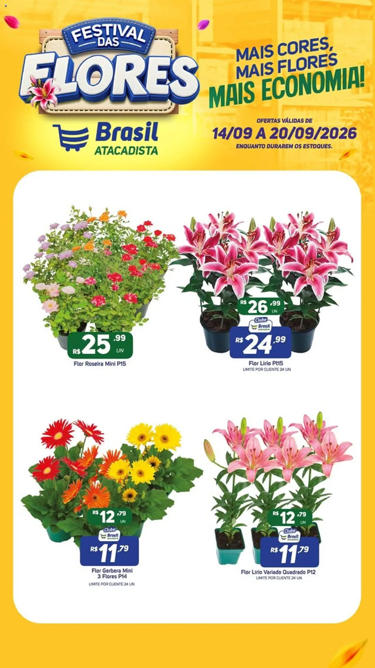 Brasil Atacadista Folheto - válido de 14/09/2026 | Página: 1 | Produtos: Flores, Gerbera