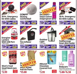 Preview of Ocean State Job Lot weekly ads valid from 07/30/2026 | Page: 2 | Products: Tire, Antiperspirant, Mango, Usb