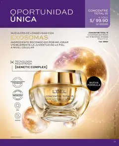 Vista previa de folleto L'Bel catálogo  - Campaña 16 de la L'Bel válido desde 03/10/2026 | Página: 17 | Productos: Crema, Celular
