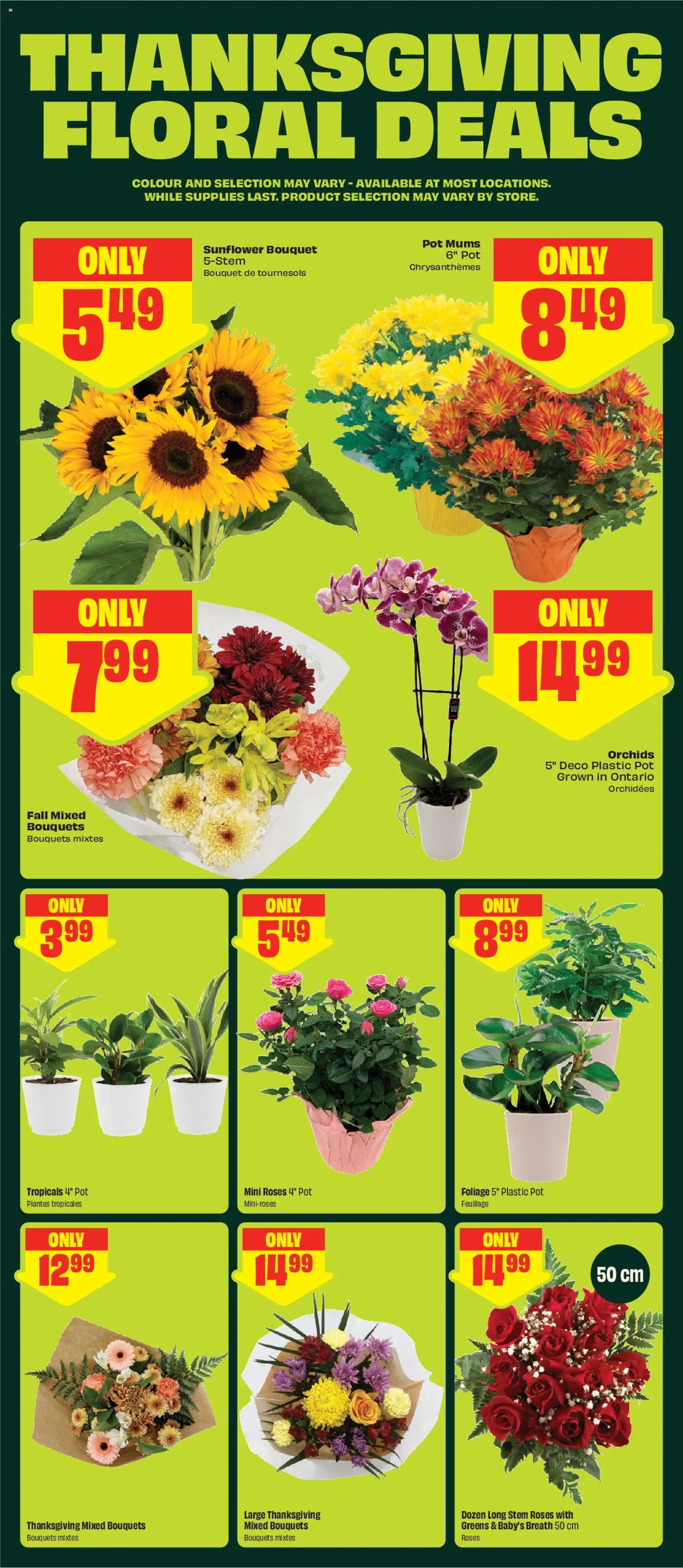 FreshCo flyer valid from Oct 1, 2026 | Page: 6