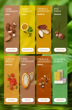 Vista previa Catálogo Natura Ciclo 13 válido desde el 02/09/2026 | Página: 204 | Productos: Diarios, Brillo, Cacao