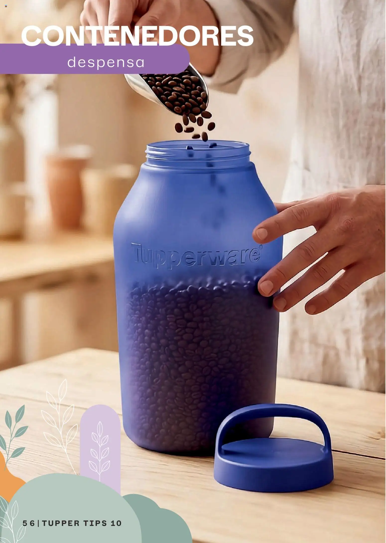 Nuevas ofertas de Tupperware válidas en toda la República Mexicana desde el 07/09/2026. ¡Encuentra las mejores ofertas en Tupperware catálogo! | Página: 56 | Productos: Tupper, Despensa
