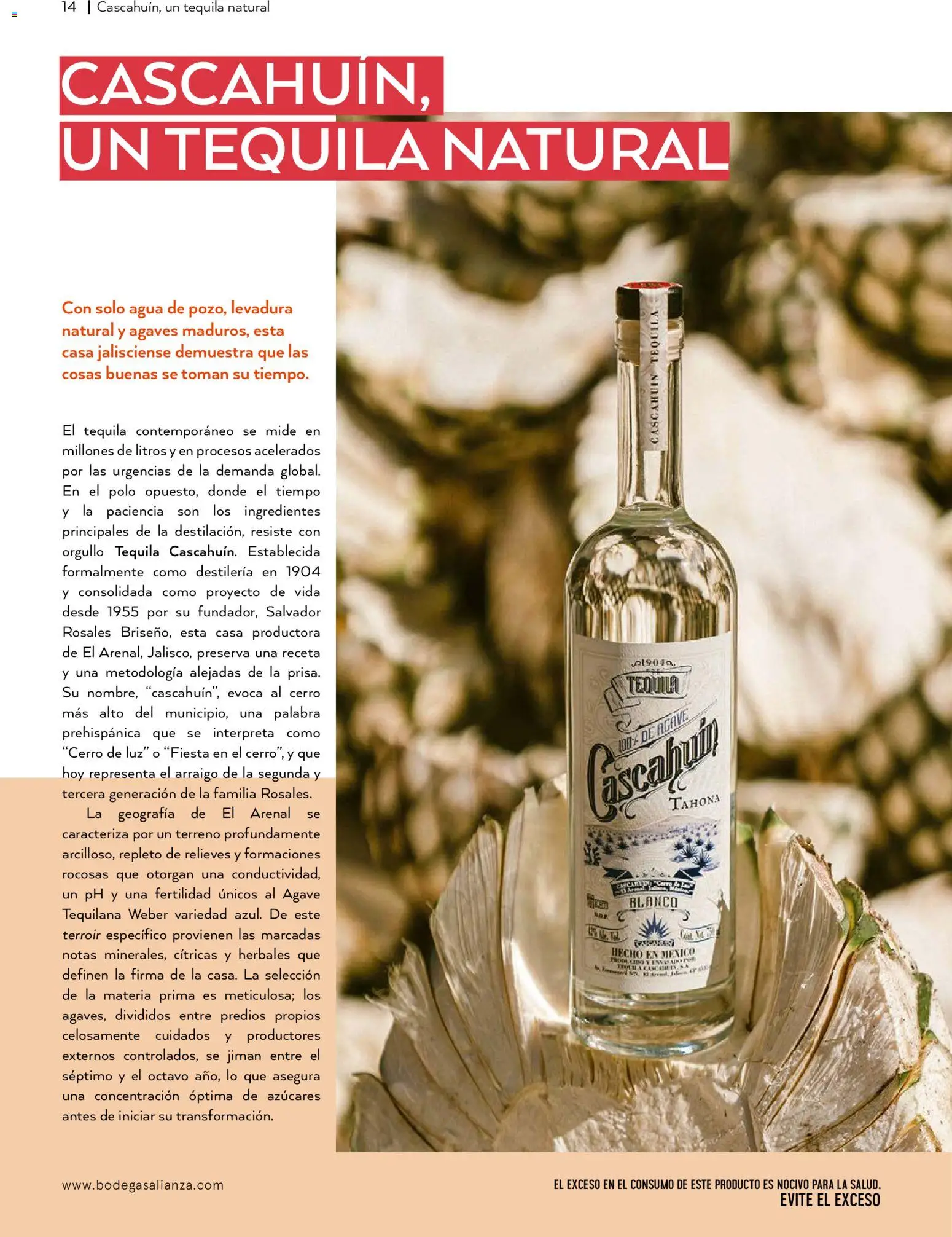 Nuevas ofertas de Bodegas Alianza válidas en toda la República Mexicana desde el 01/07/2026. ¡Encuentra las mejores ofertas en Bodegas Alianza catálogo! | Página: 16 | Productos: Agua, Tequila