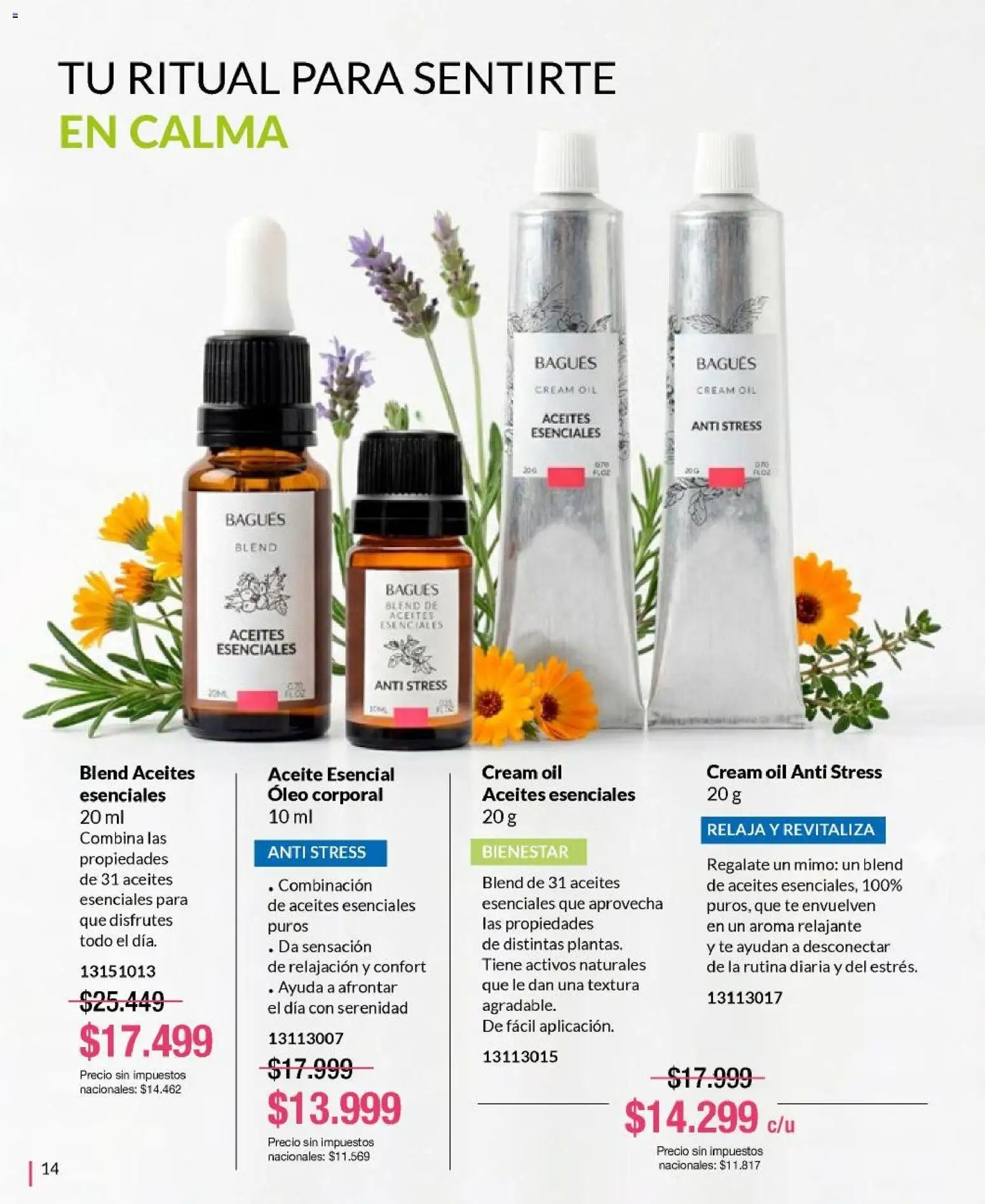 Bagués - Catálogo │ válido desde el 01.06.2026 | Página: 14 | Productos: Aceite, Té