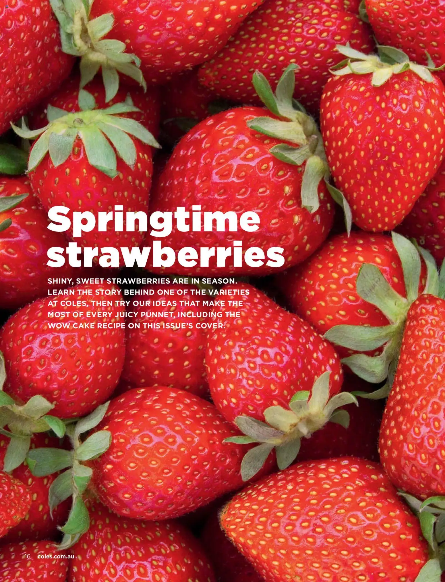 Coles catalogue - valid from 01/09/2026 | Page: 16 | Products: Strawberries, Cake