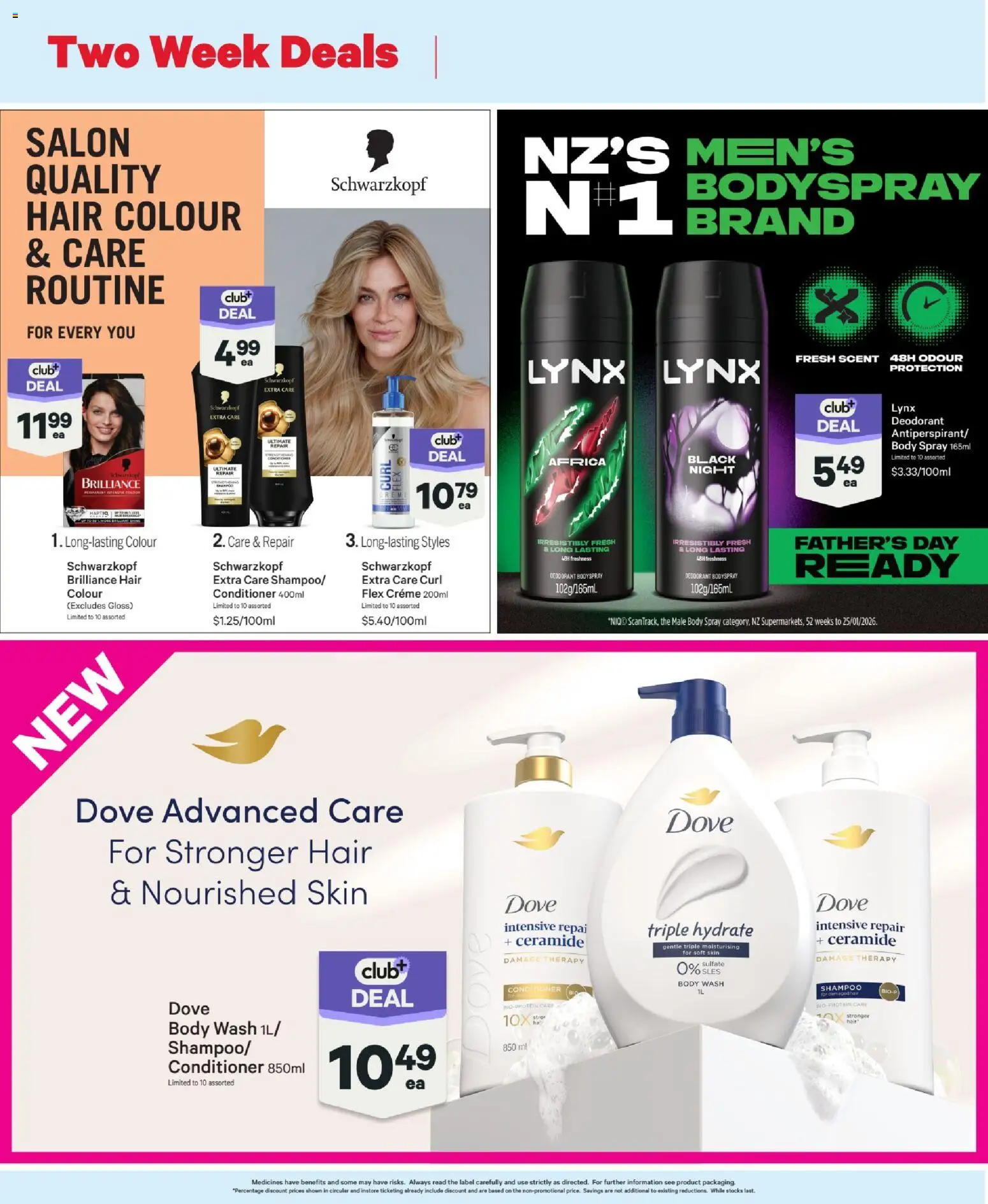 New World catalogue from 23 Aug 2026 | Page: 4