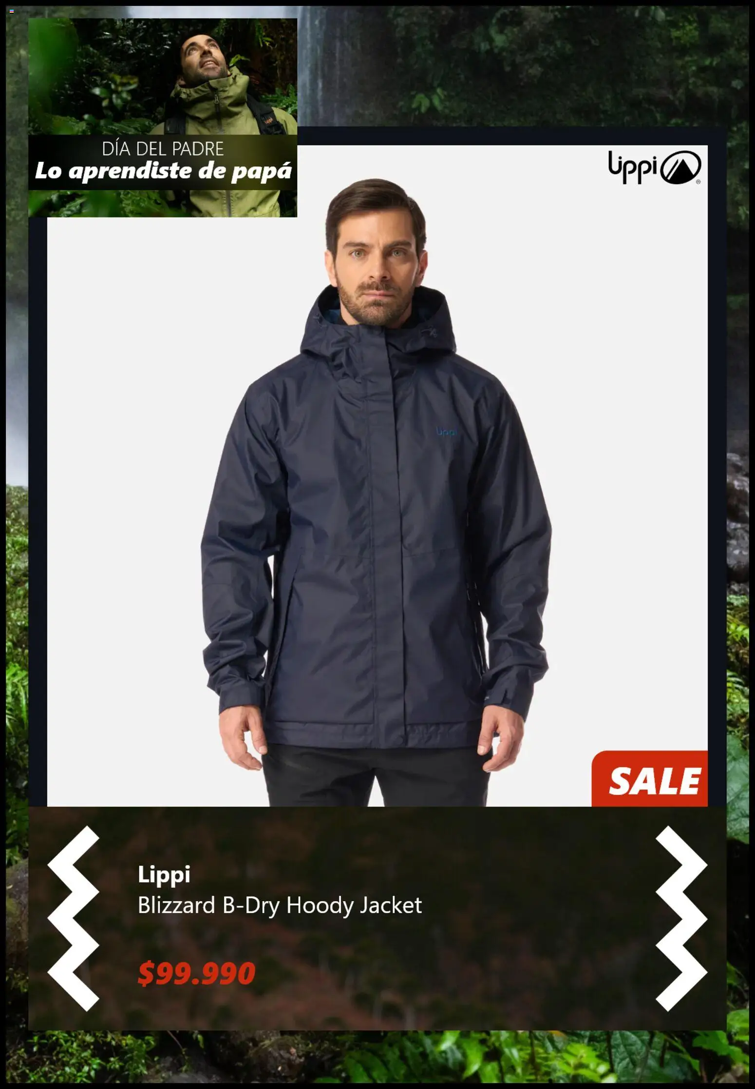 Lippi Ofertas │ válido desde el 11.06.2026 | Página: 7 | Productos: Papa
