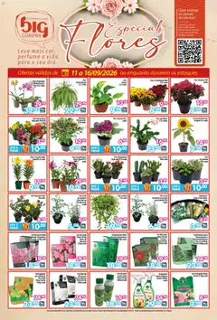 Big Compra ofertas Flores - Pré-Visualização do folheto da loja Big Compra, válido de 11/09/2026 | Página: 1