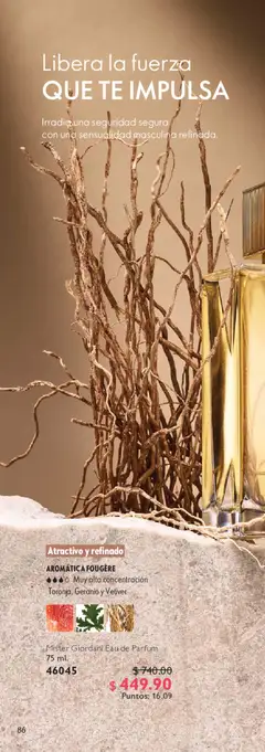 Vista previa de Oriflame campaña 7 2026, nuevo folleto de la tienda, válido en México a partir del 09.05.2026 | Página: 170