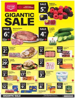Preview of Co-op Food weekly flyer / circulaire from shop Co-op Food valid from Aug 20, 2026