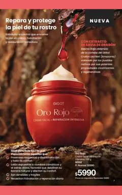 Vista previa Gigot - CAMPAÑA 09 válido desde el 18.05.2026 | Página: 13 | Productos: Crema