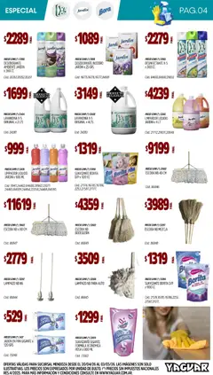 Vista previa Yaguar - Especial Limpieza Mendoza válido desde el 20.04.2026 | Página: 4 | Productos: Desinfectante, Jabón, Desodorante, Escoba