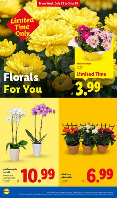 Preview of Lidl weekly ads valid from 07/22/2026 | Page: 36