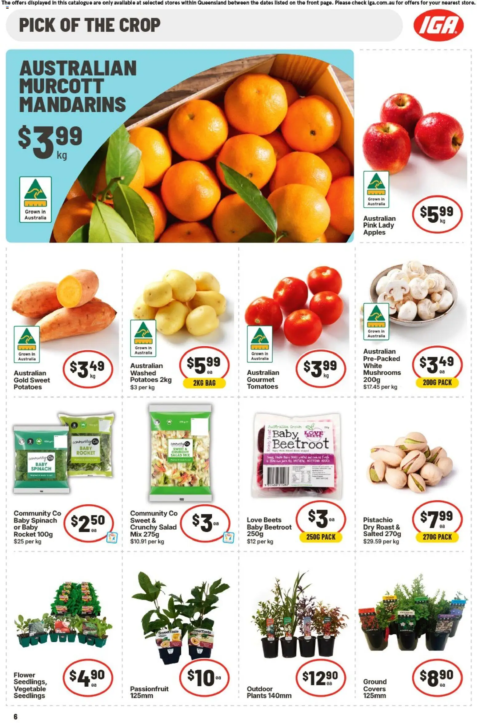 IGA catalogue - valid from 09/09/2026 | Page: 7 | Products: Apples, Mushrooms, Mandarins, Sweet potatoes