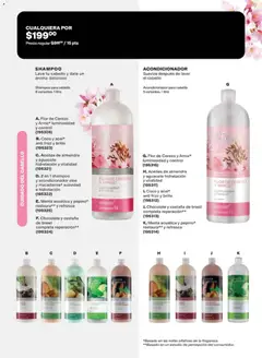 Vista previa de D. 2 en 1 shampoo y acondicionador aloe y macadamia* suavidad e hidratación, Shampoo para cabello 6 variantes. 1 litro, nuevo folleto de la tienda, válido en México a partir del 08.05.2026 | Página: 183
